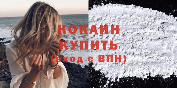 молекула духа Вяземский