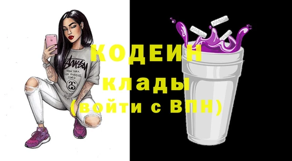 молекула духа Вяземский