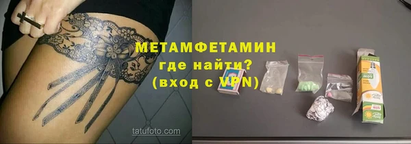 молекула духа Вяземский