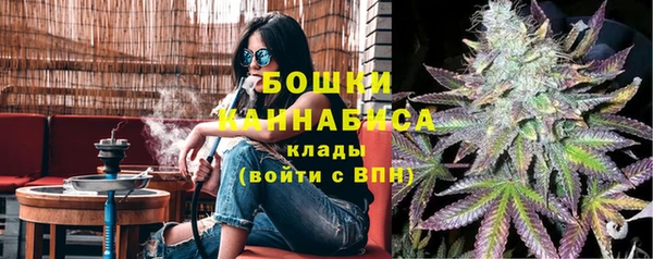 молекула духа Вяземский