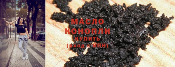 молекула духа Вяземский