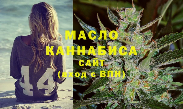 молекула духа Вяземский