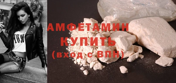 молекула духа Вяземский