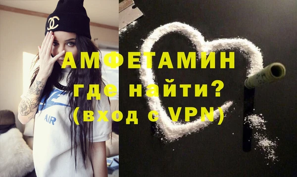 молекула духа Вяземский