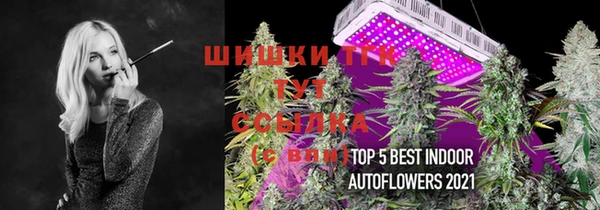 молекула духа Вяземский