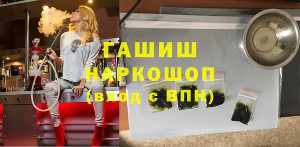 молекула духа Вяземский