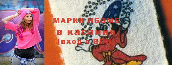 молекула духа Вяземский