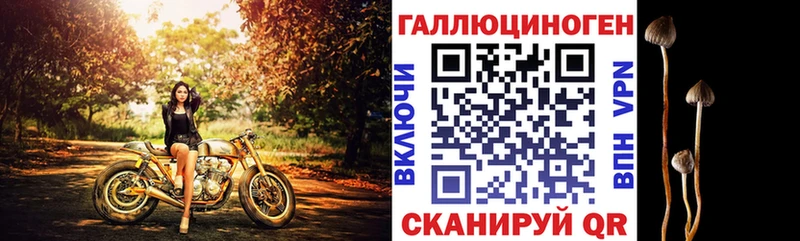 Купить закладки  Ардатов  Галлюциногенные грибы мицелий 
